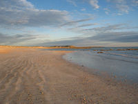 Early morning on the beach, Cape Keraudren Coastal Reserve